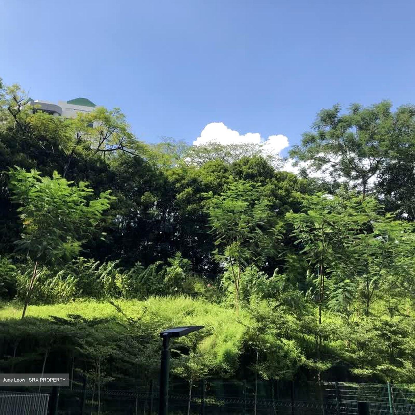 FORETT AT BUKIT TIMAH (D21), Apartment #567966171